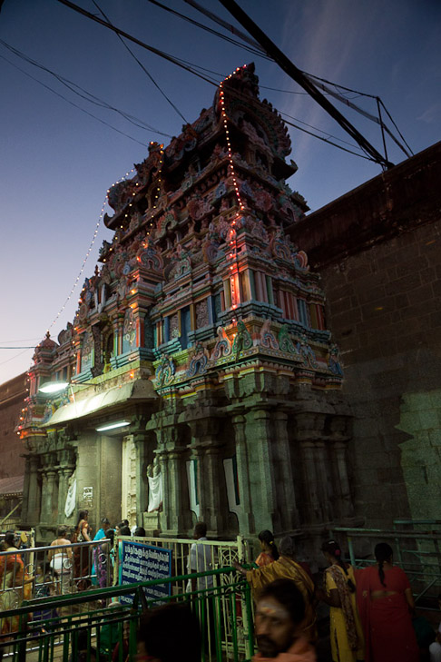 052_MG_8514-Edit-sharp