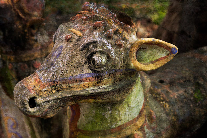 055_MG_8792-Edit_sharp