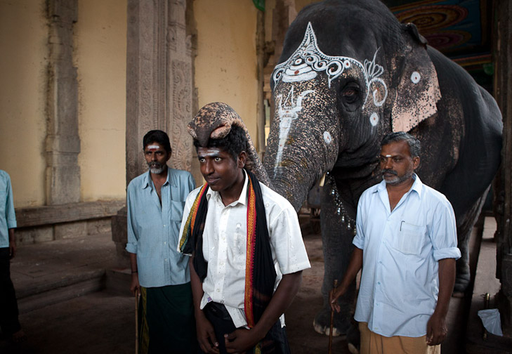 061_MG_9114-Edit_sharp