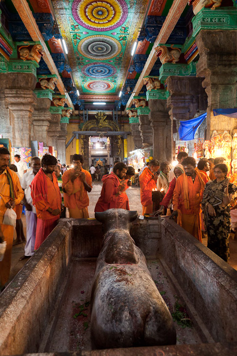 062_MG_9224-Edit-sharp