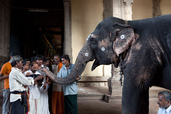 068_MG_9664-Edit_sharp