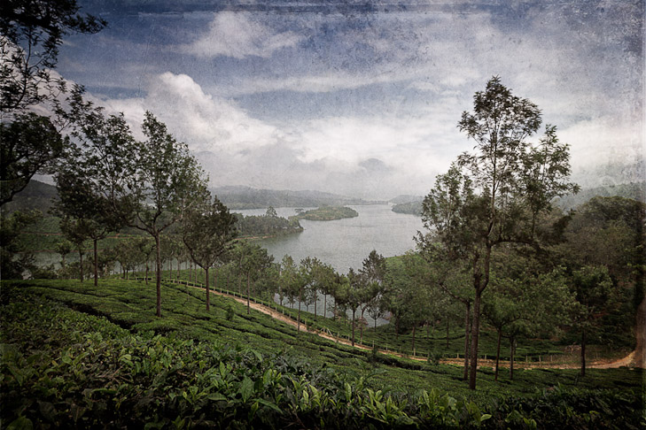 071_MG_9793-EditB-sharp