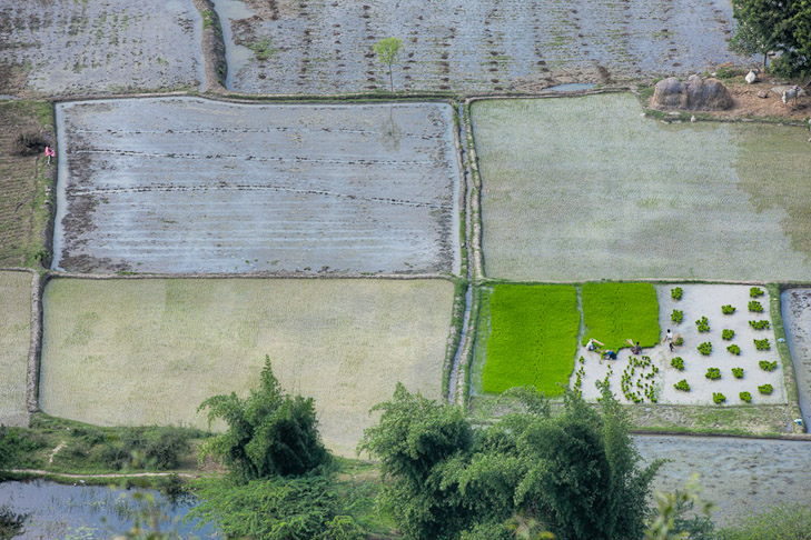 081_Z1E7966-Edit_sharp