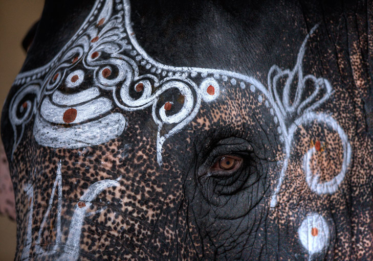 088_Z1E8442_tonemapped