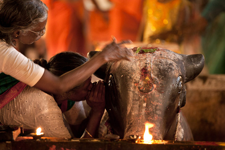 089_Z1E8447-Edit_sharp