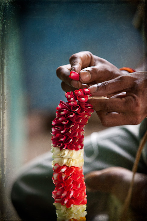 091_Z1E8553-EditB-sharp_final