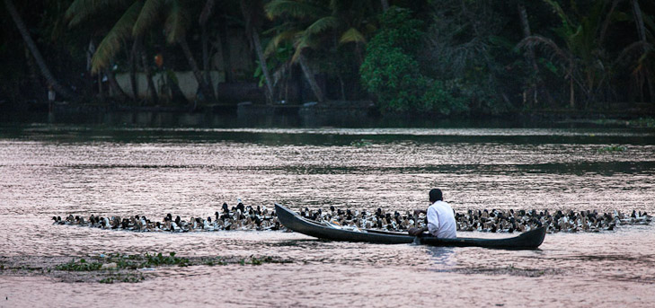 099_Z1E9337-Edit_sharp